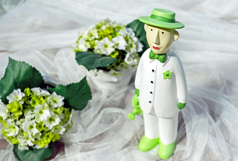 vitrine-CHATEAUVERT-min_man-person-flower-green-toy-fig-546529-pxhere.com